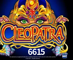 6615 Curitiba - Live Status